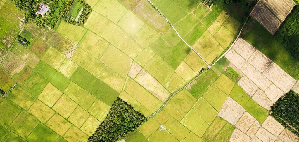 Green blocks of different shades, farmland from above, create a patchwork of communities.