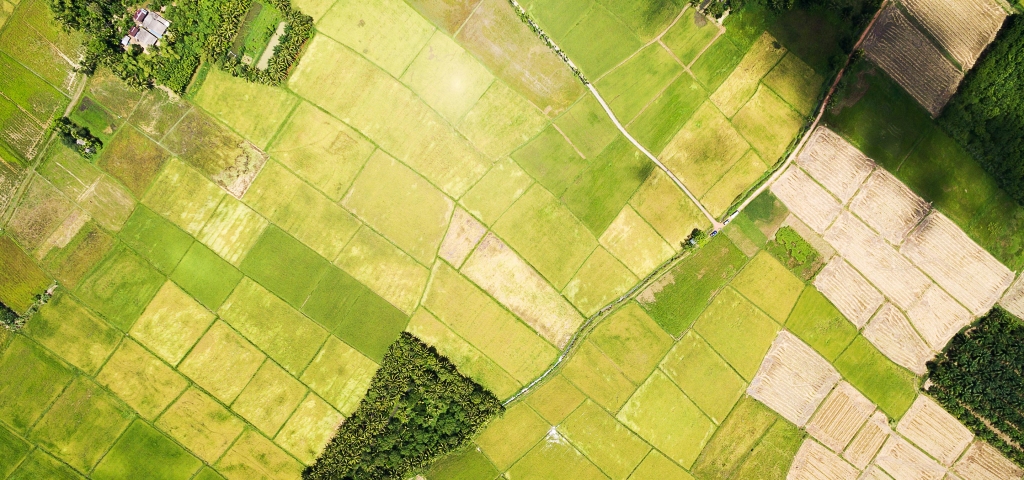 Patchwork of green farmland, seen from high above.