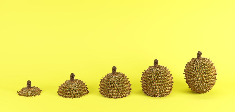 Acorns of various sizes grow across a yellow background, representing adaptability.